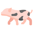 cerdo icon