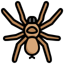 araña