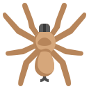 araña icon