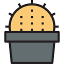 cactus icon