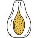 papaya icon