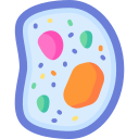 citoplasma icon