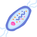 bacterias icon