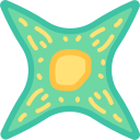 fibroblasto icon