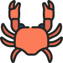 Crab 