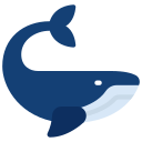 ballena icon