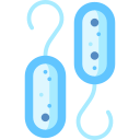 bacterias icon