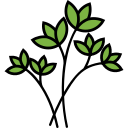 plantas icon