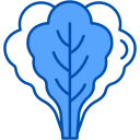 lechuga icon