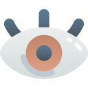 ojo icon