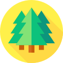 bosque icon