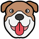 buldog icon