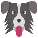 collie icon