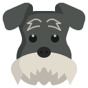 schnauzer miniatura icon