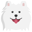 pomeranio icon