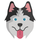 husky siberiano icon