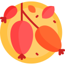 escaramujo icon