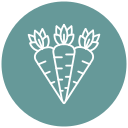 zanahorias icon