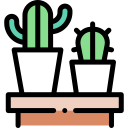 cactus icon