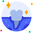 premolar icon