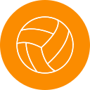 pelota de voleibol icon