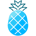 piña icon