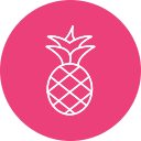 piña icon