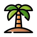 palmera