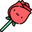rosa 