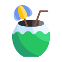 coco icon