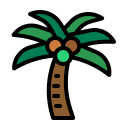 Árbol de coco icon