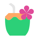 agua de coco icon