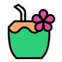 agua de coco icon