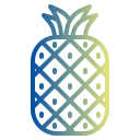 piña icon