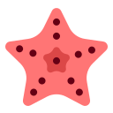 estrella de mar