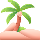 palmera icon