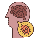 cerebro icon