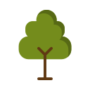 Árbol icon