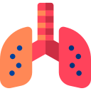 pulmones icon