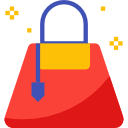 bolso icon