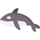 orca icon