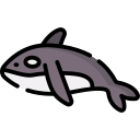 orca icon