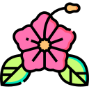 hibisco icon