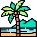 Árbol de coco icon