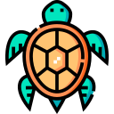 tortuga icon