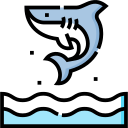 tiburón icon