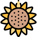 girasol icon