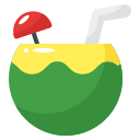 agua de coco icon