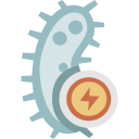 bacterias icon