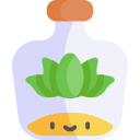 mezcal 